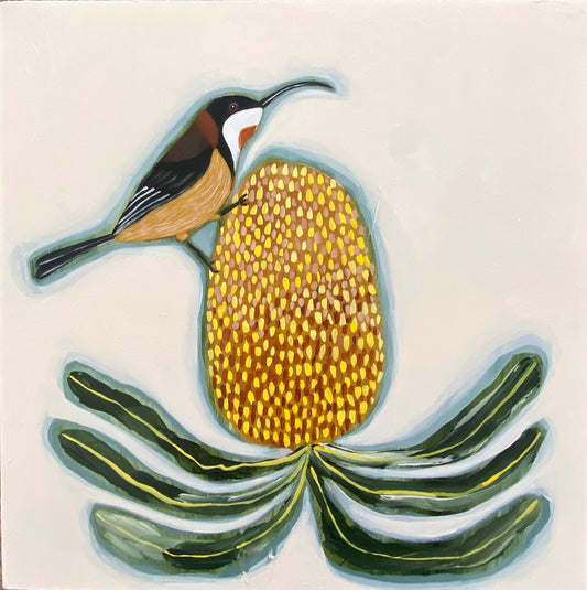 Honeyeater and Banksia #4