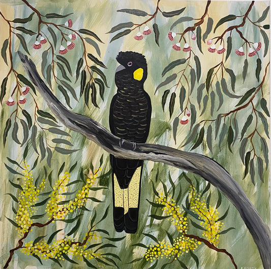 Black Cockatoo in the Natives #1