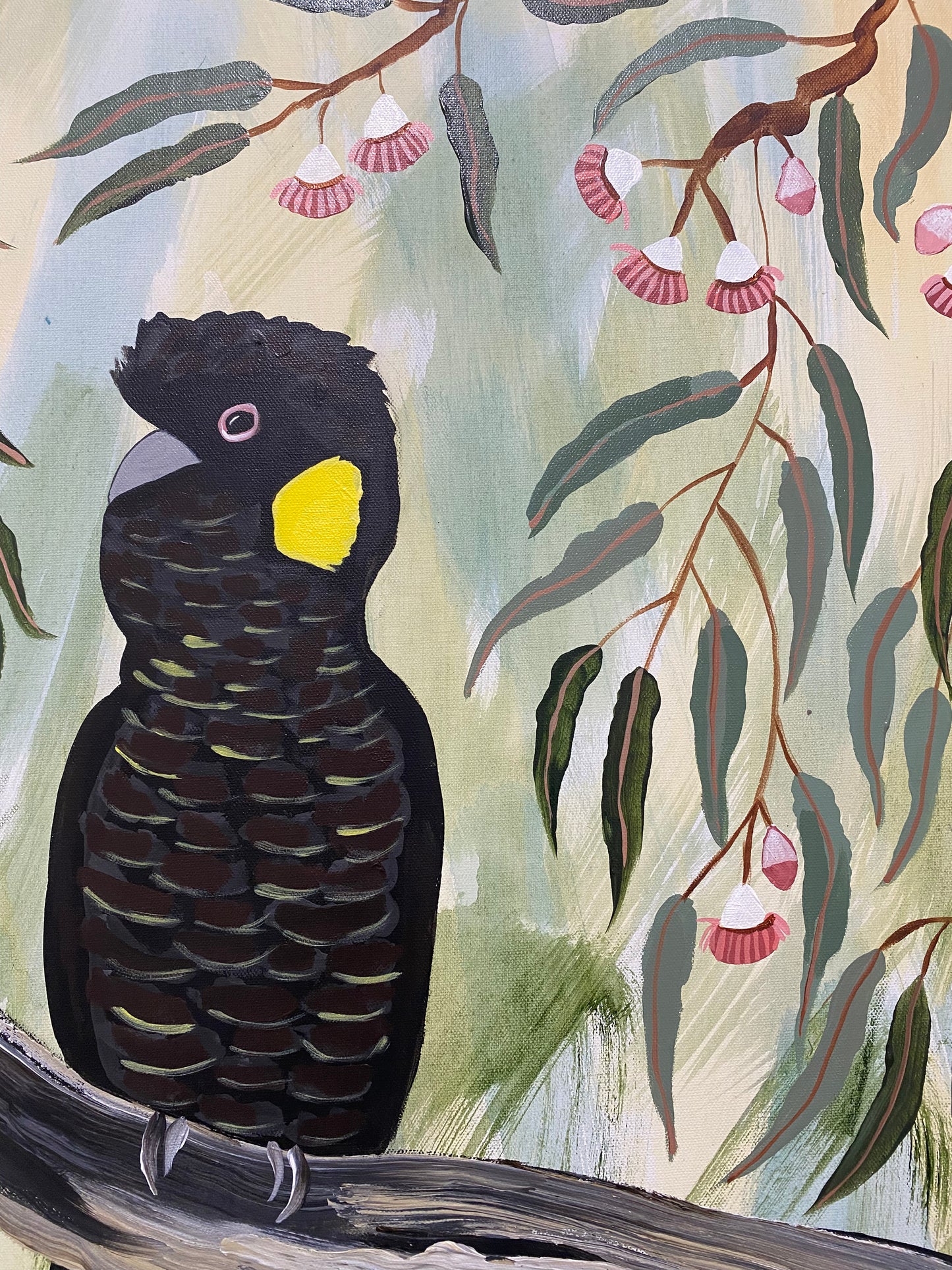 Black Cockatoo in the Natives #1