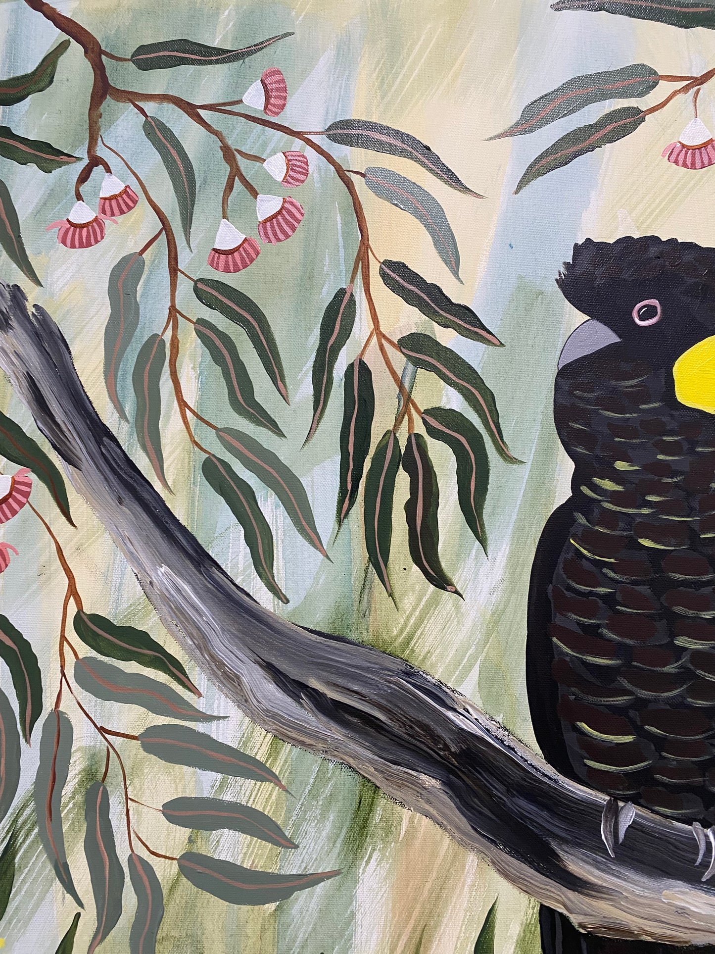 Black Cockatoo in the Natives #1