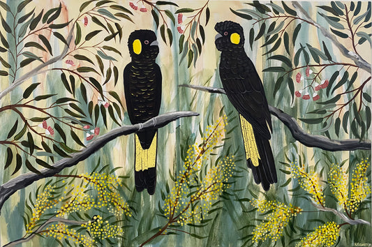 Black Cockatoos in the Natives #2