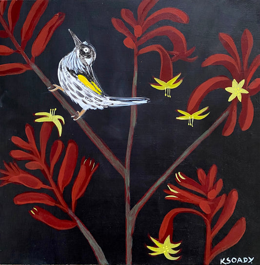 Kangaroo Paw and Honeyeater