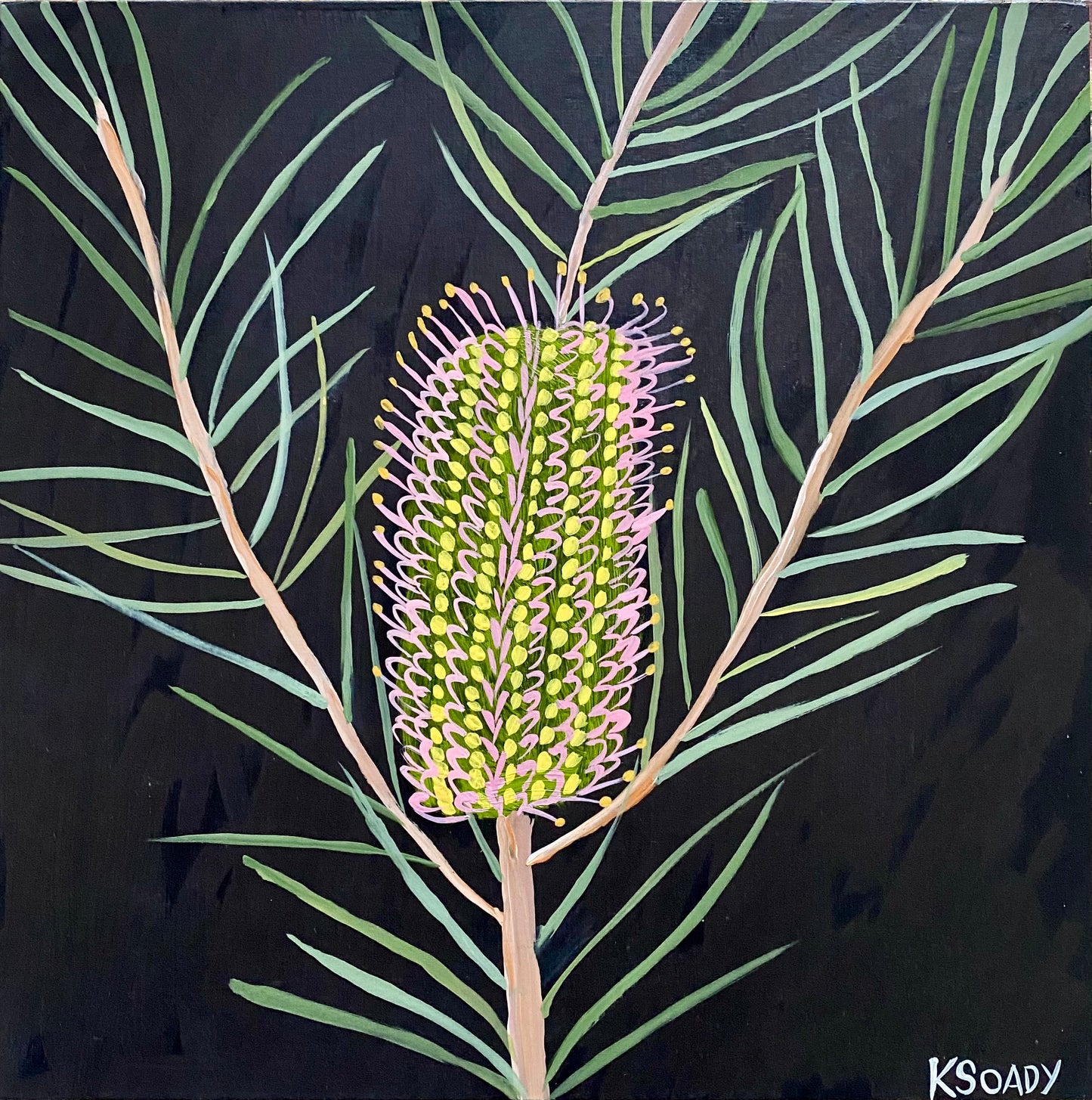 Evening Banksia #15
