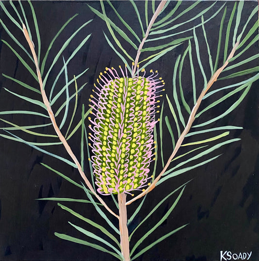 Evening Banksia #15