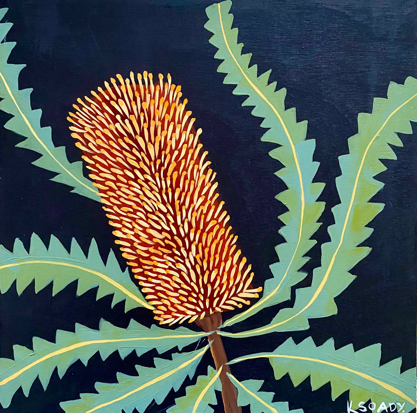 Evening Banksia #16