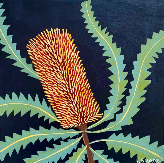 Evening Banksia #16