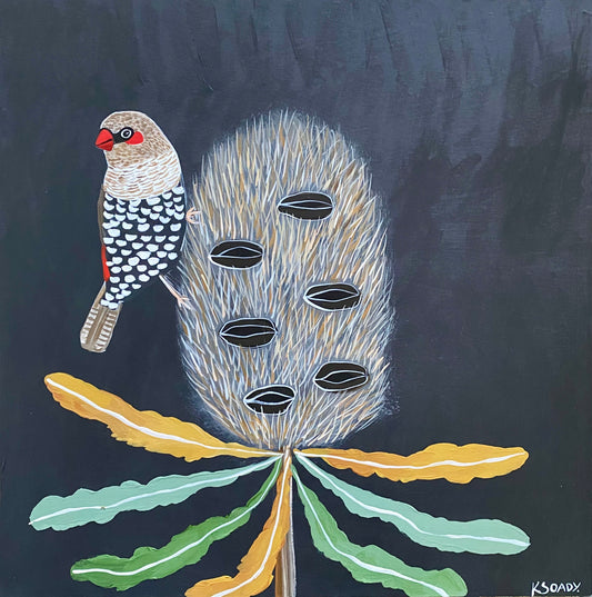 Banksia &Firetail
