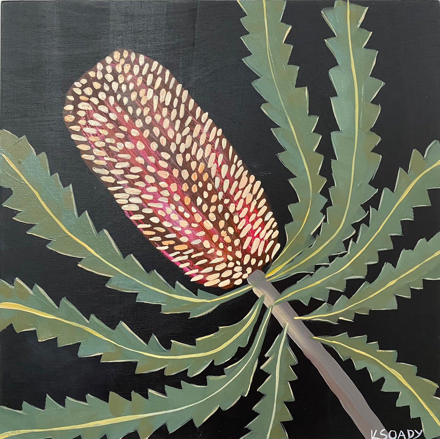 Evening Banksia #17