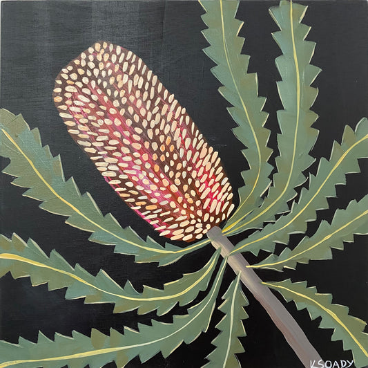 Evening Banksia #17