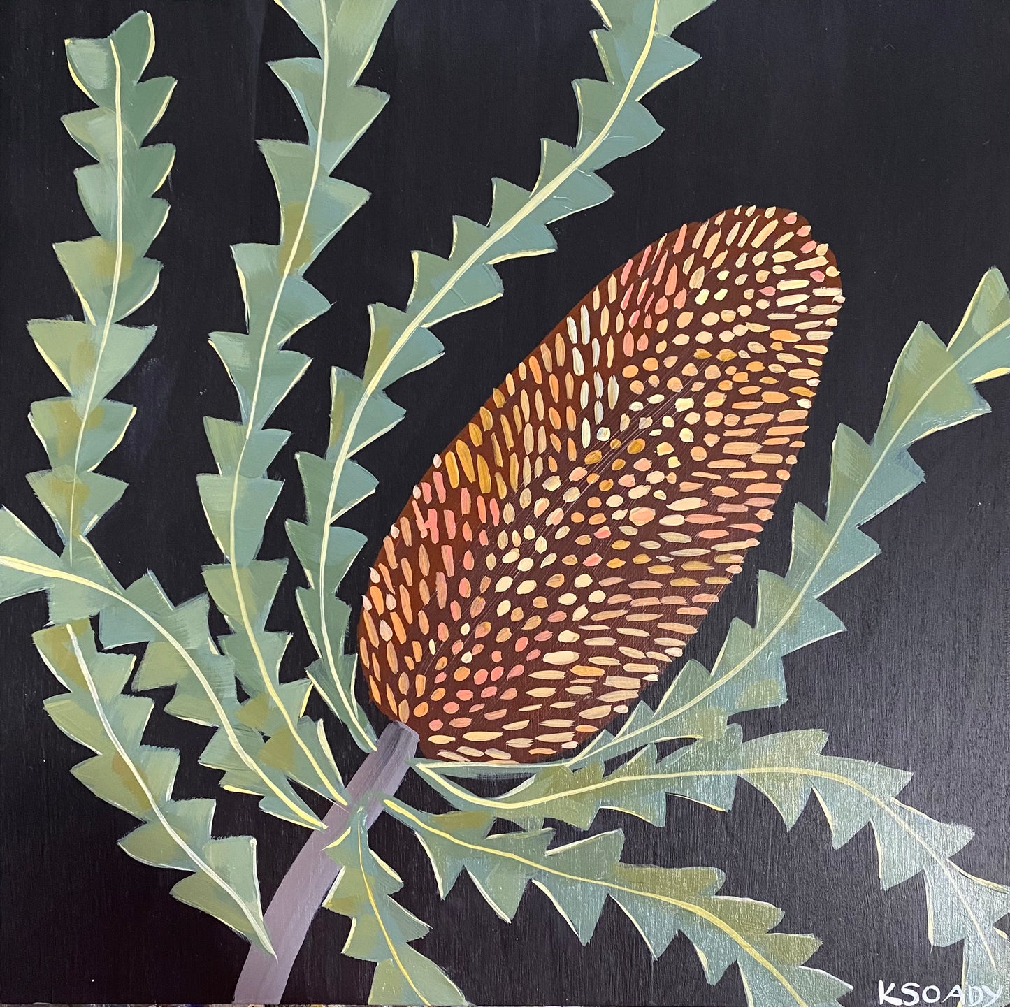 Evening Banksia #18