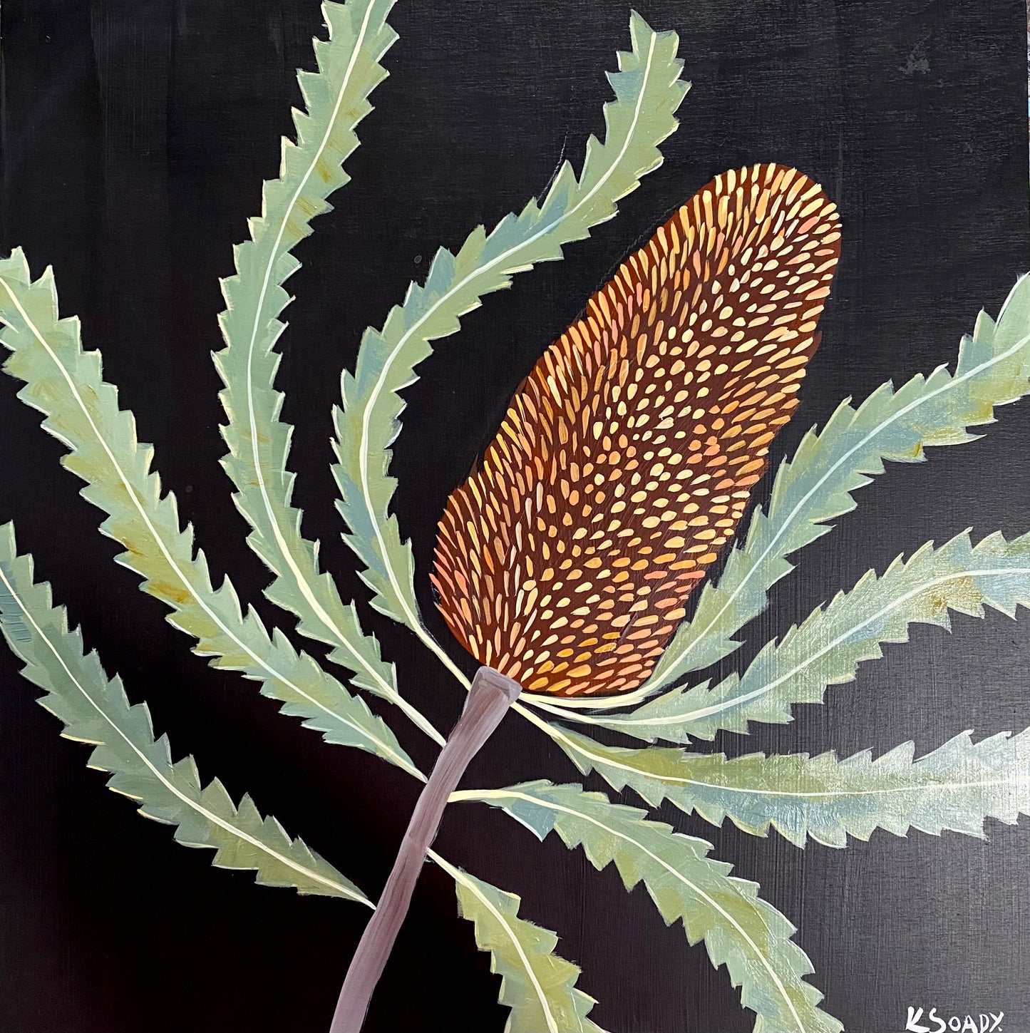 Evening Banksia #19