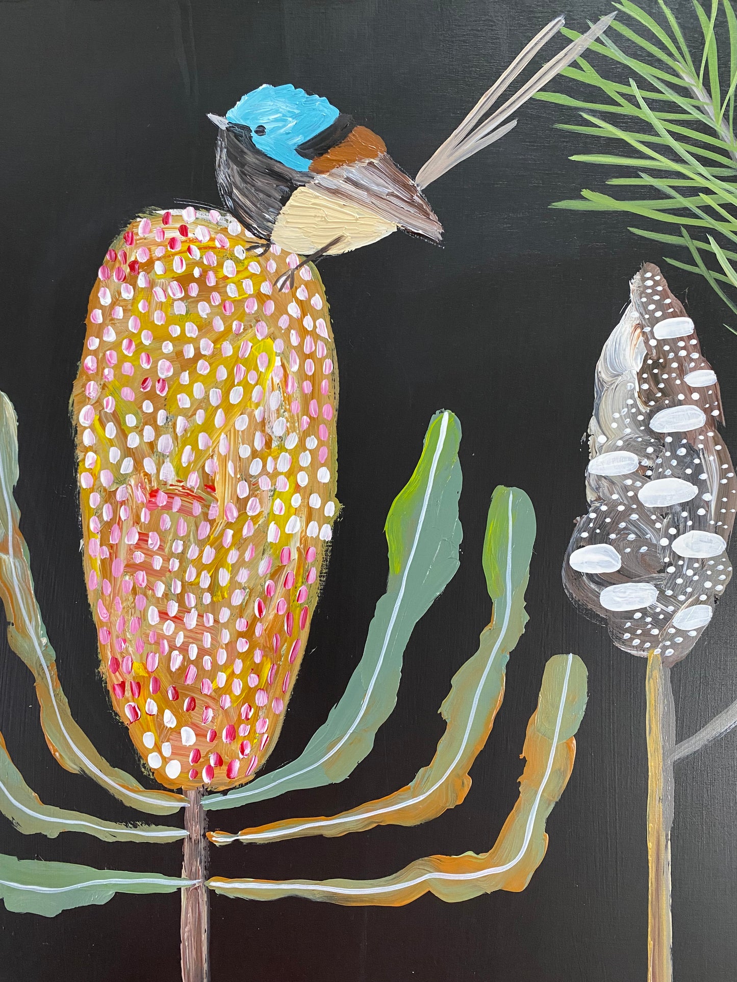 Banksias and Fairy Wren
