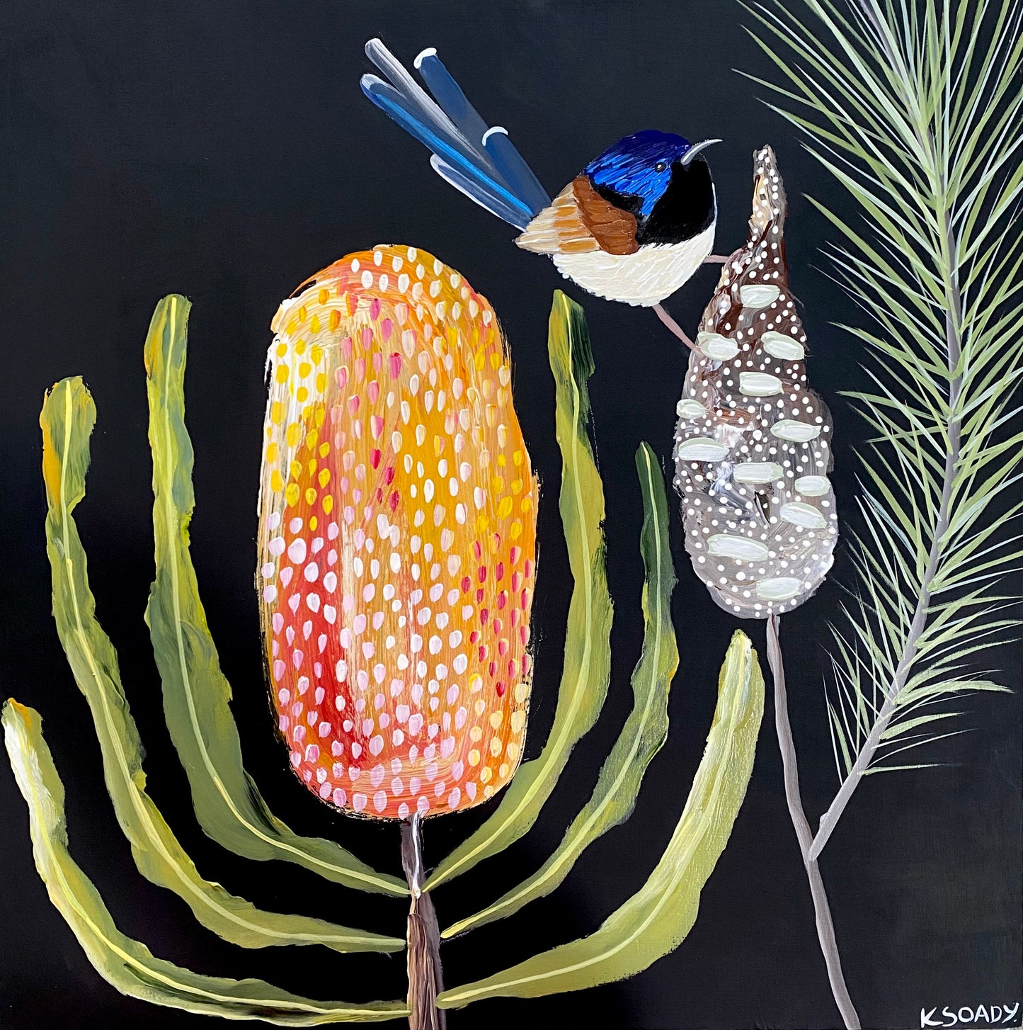 Banksia Glow & Wren #1