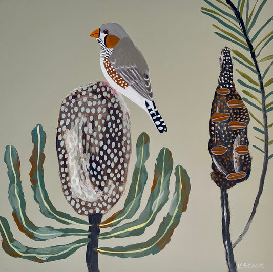 Zebra Finch and Banksia #4