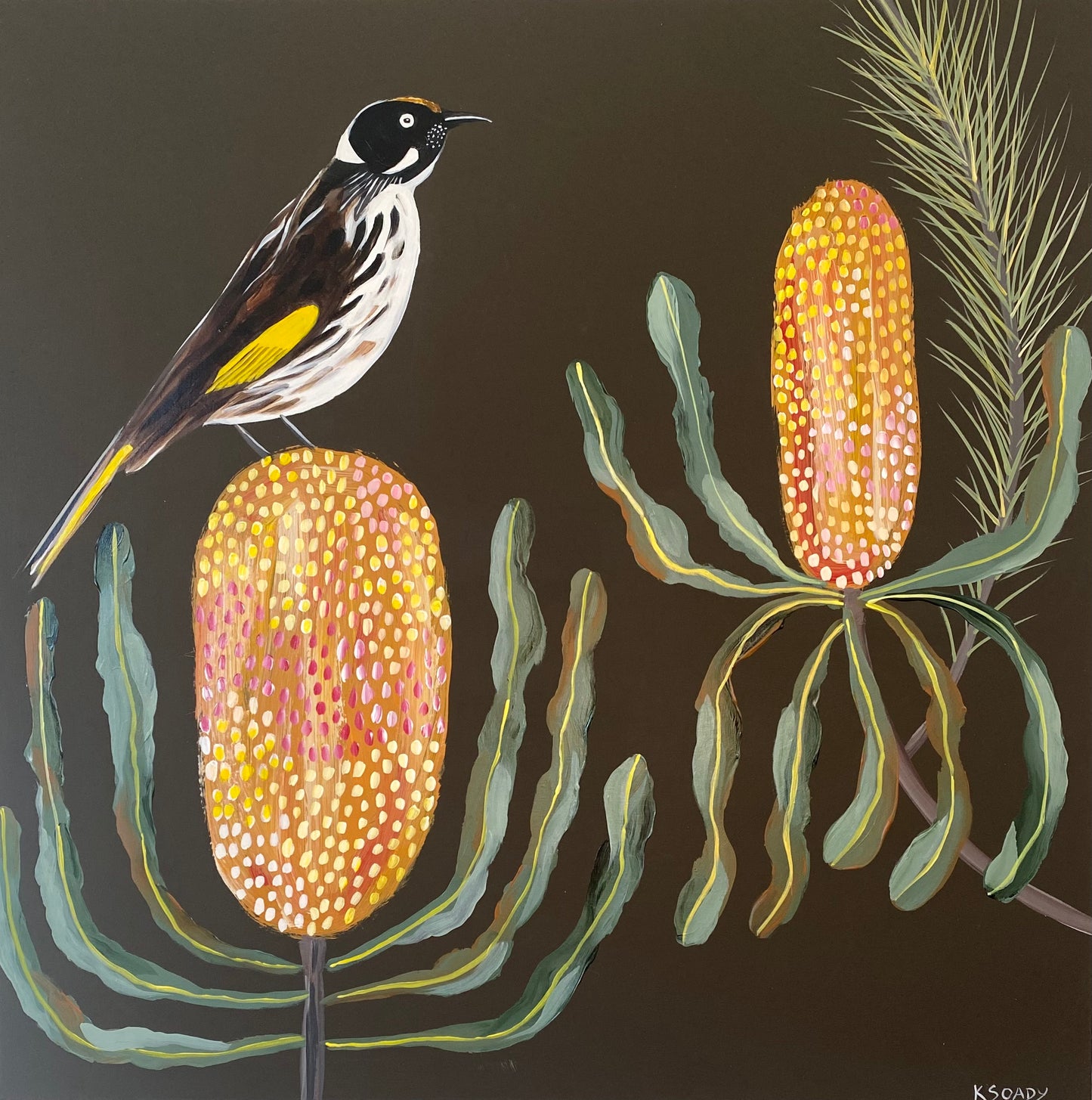 Banksias & Honeyeater #1