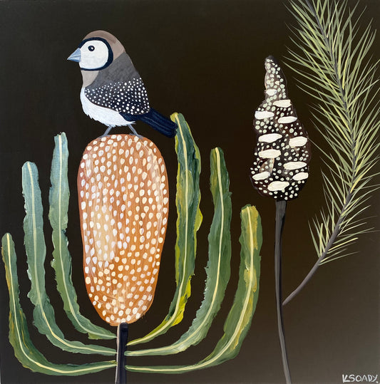 Finch and Banksia #2