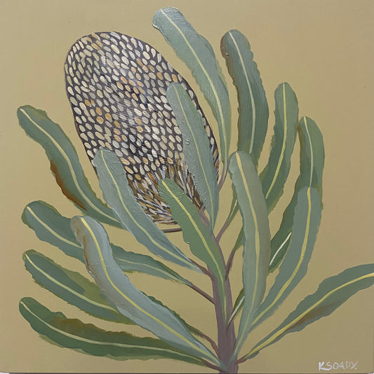 Banksia #13