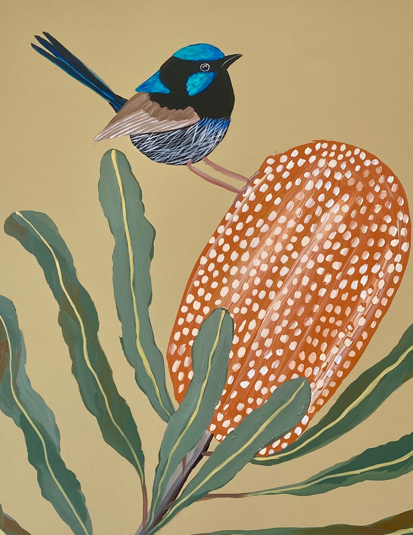 Fairy Wren and Banksia #9