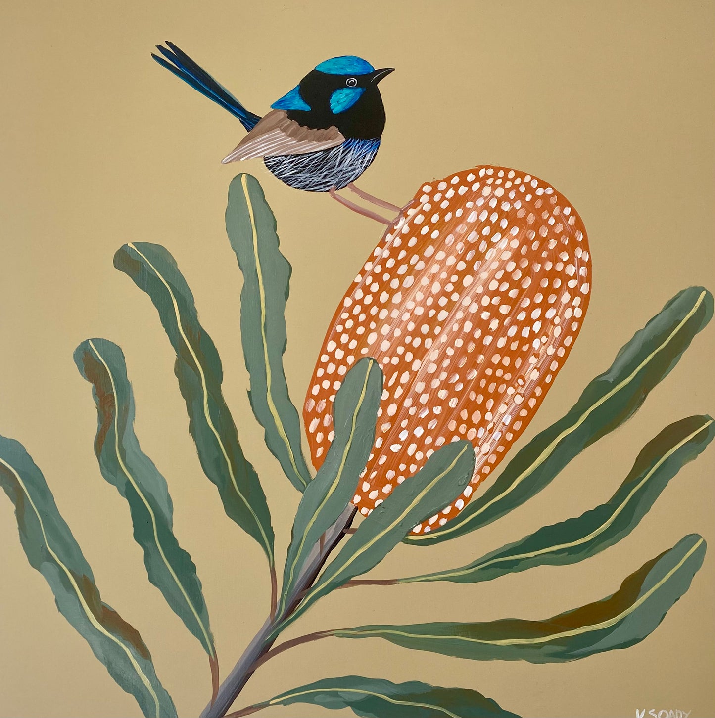Fairy Wren and Banksia #9