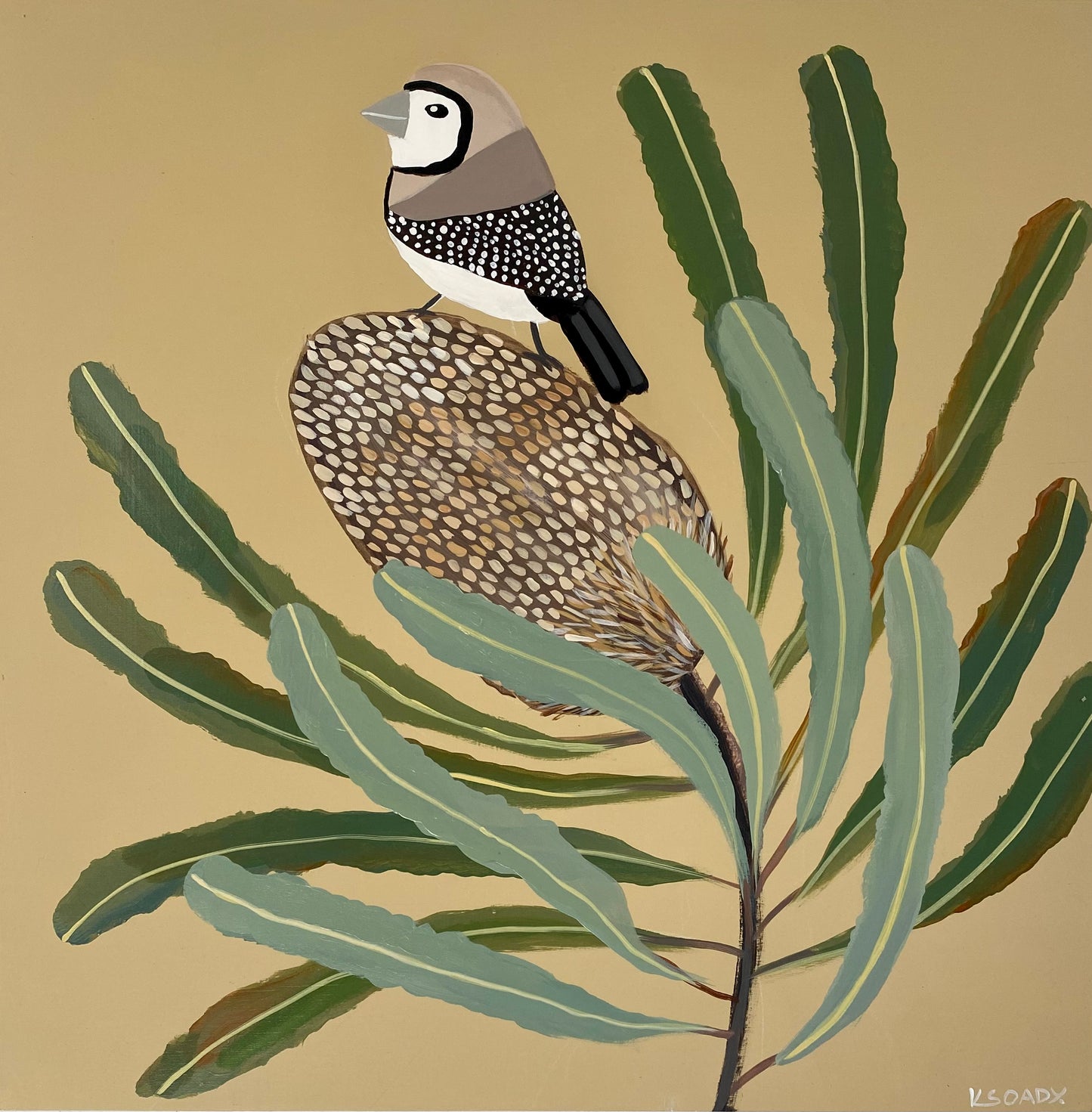 Finch and Banksia #3