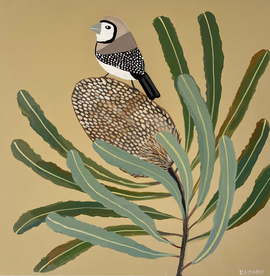 Finch and Banksia #3