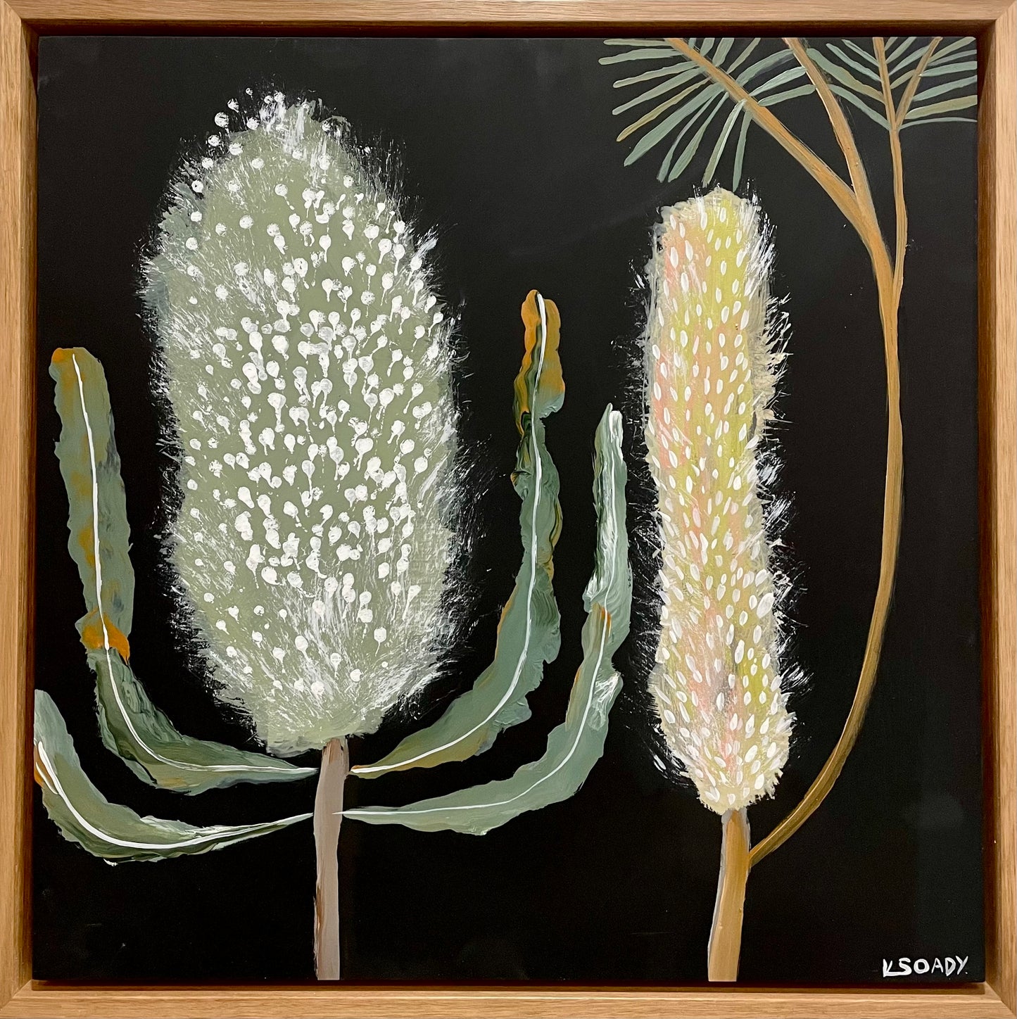 Midnight Banksias #3