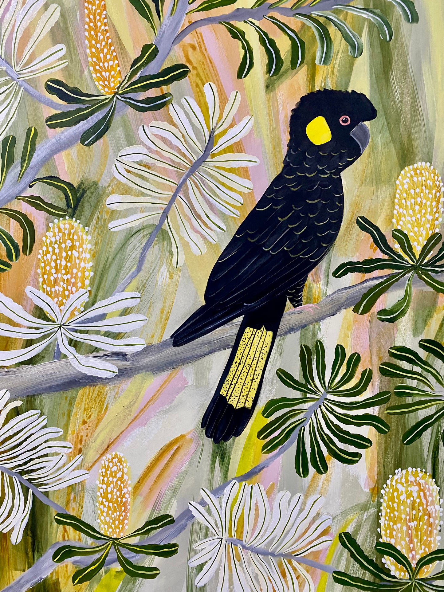 Black Cockatoos in Spring