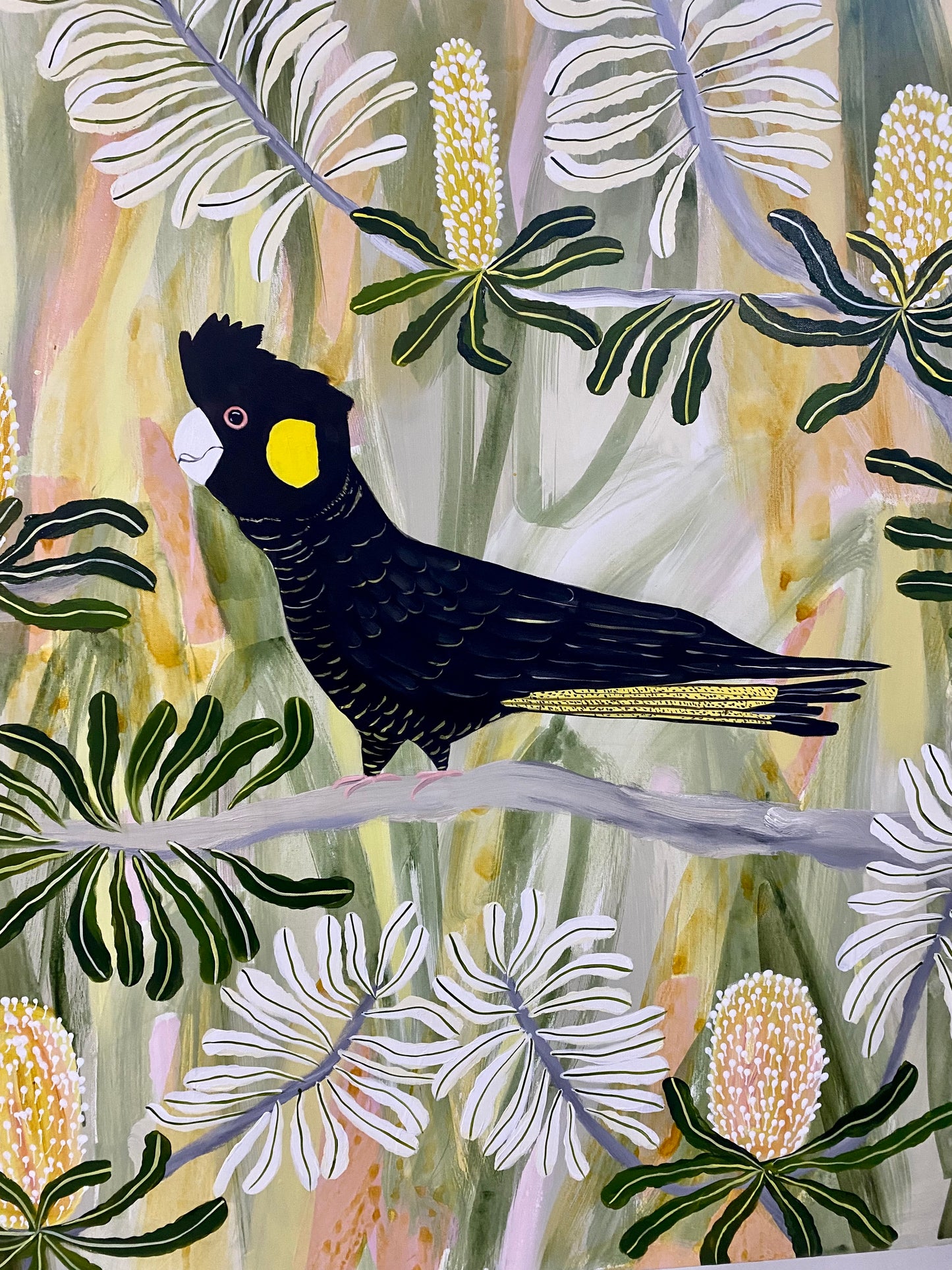Black Cockatoos in Spring