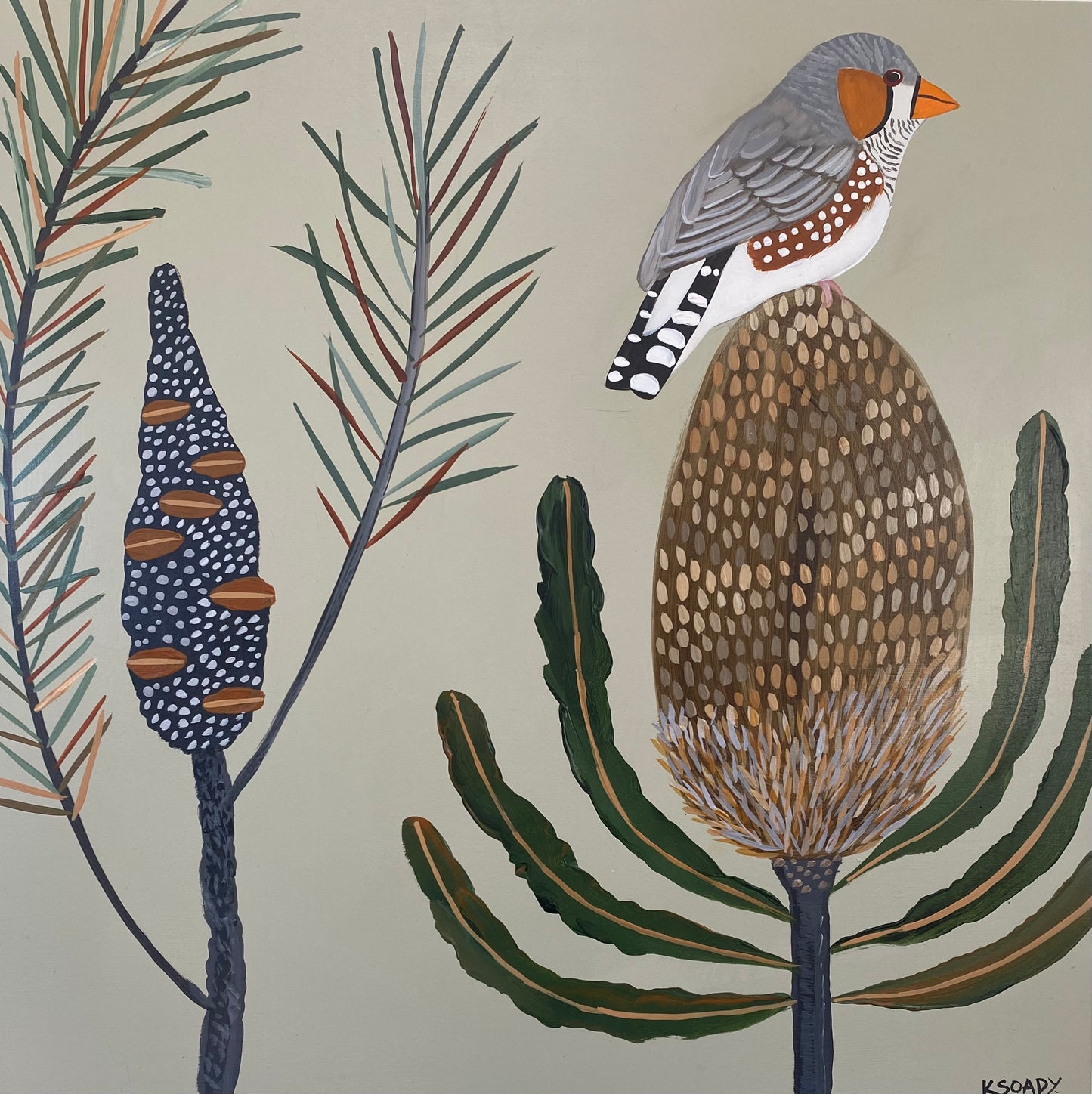 Finch and Banksia #6