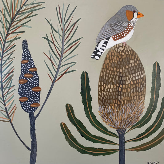 Finch and Banksia #6