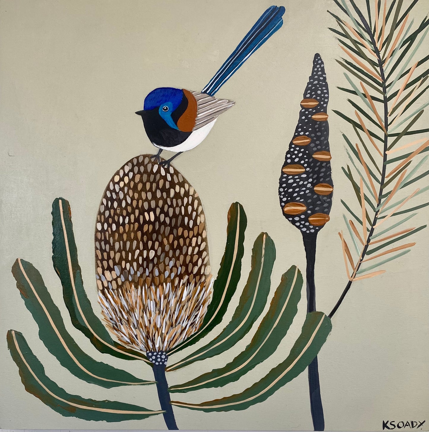 Fairy Wren and Banksia #10