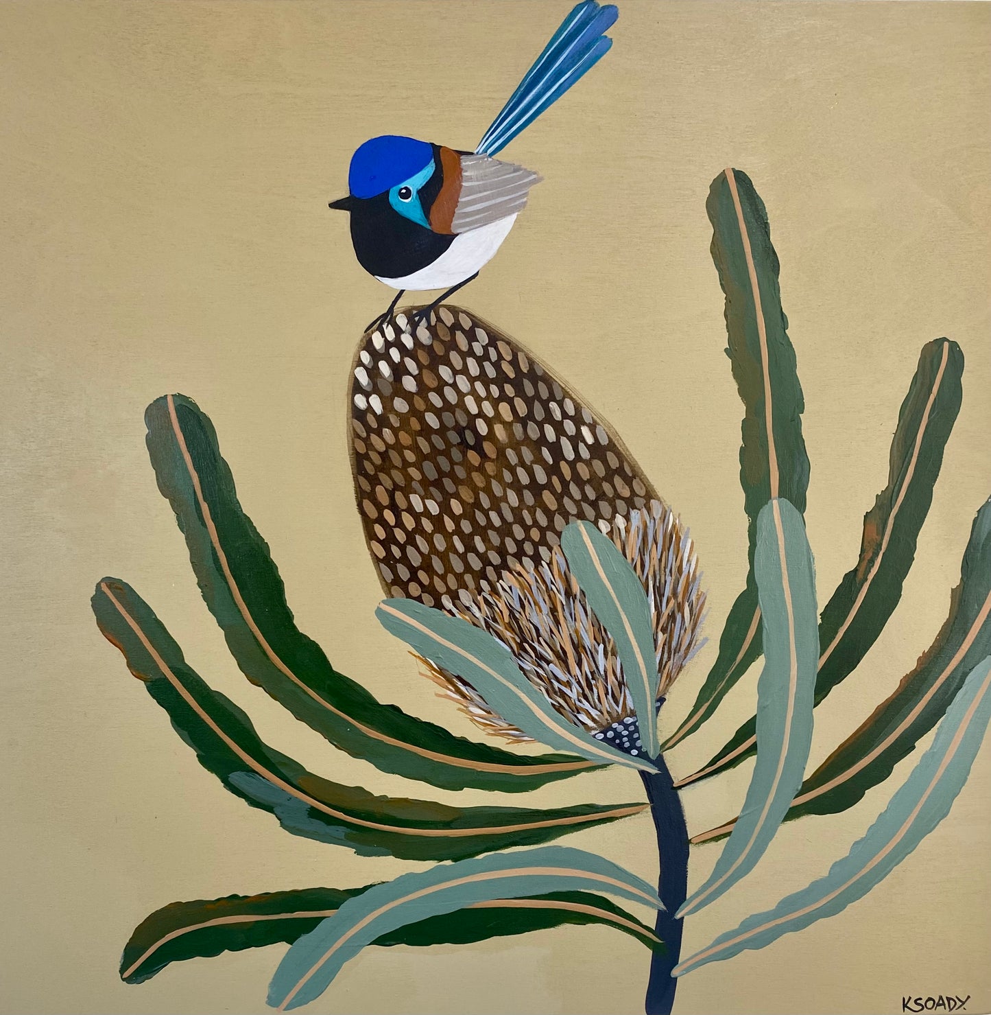 Fairy Wren and Banksia #11