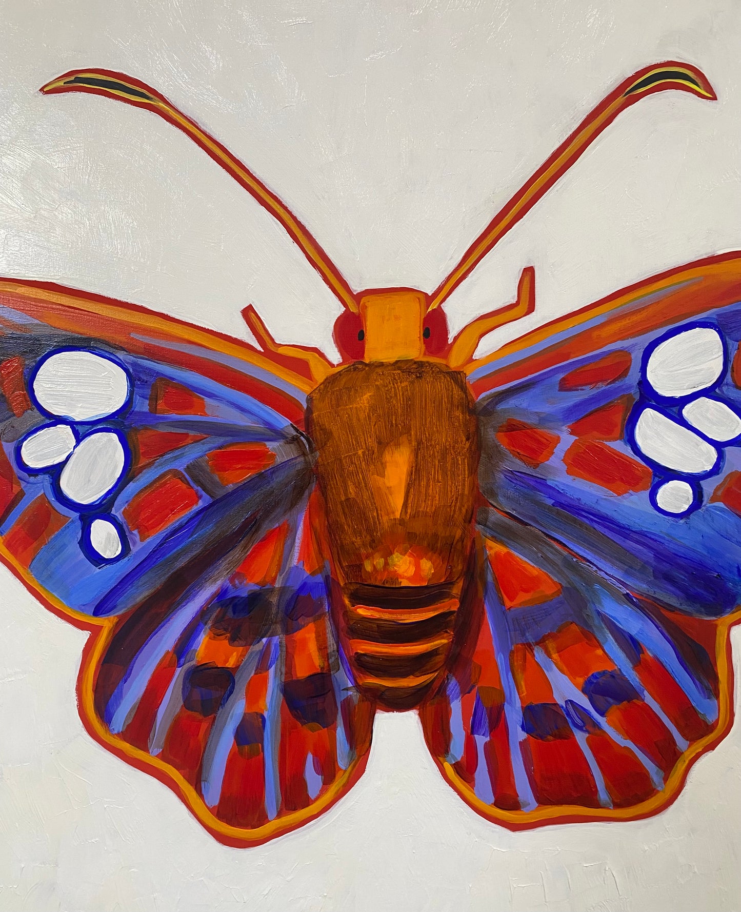 Native Butterfly