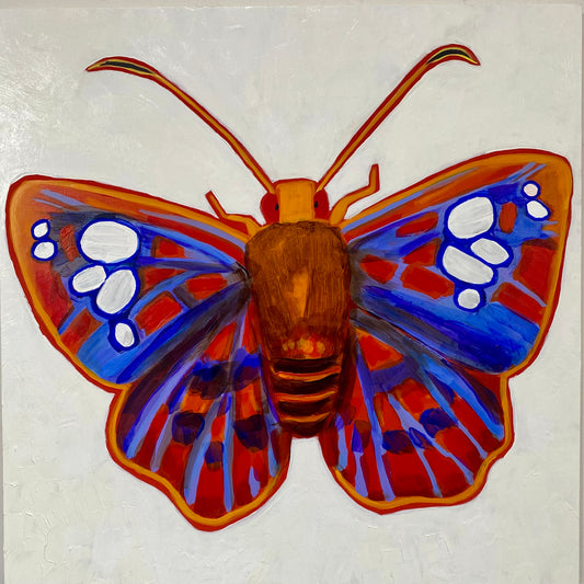 Native Butterfly