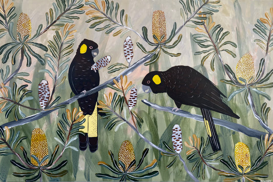 Spring Black Cockatoos #7