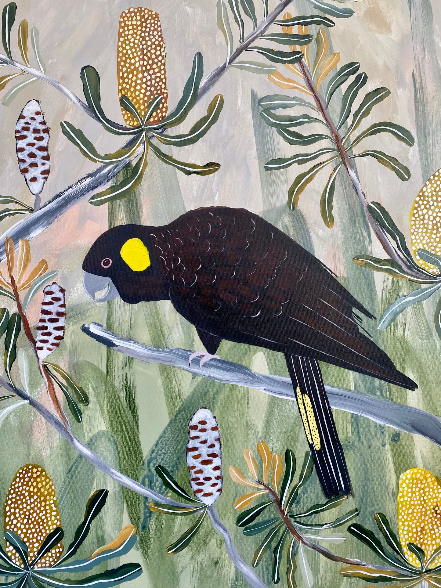 Spring Black Cockatoos #7
