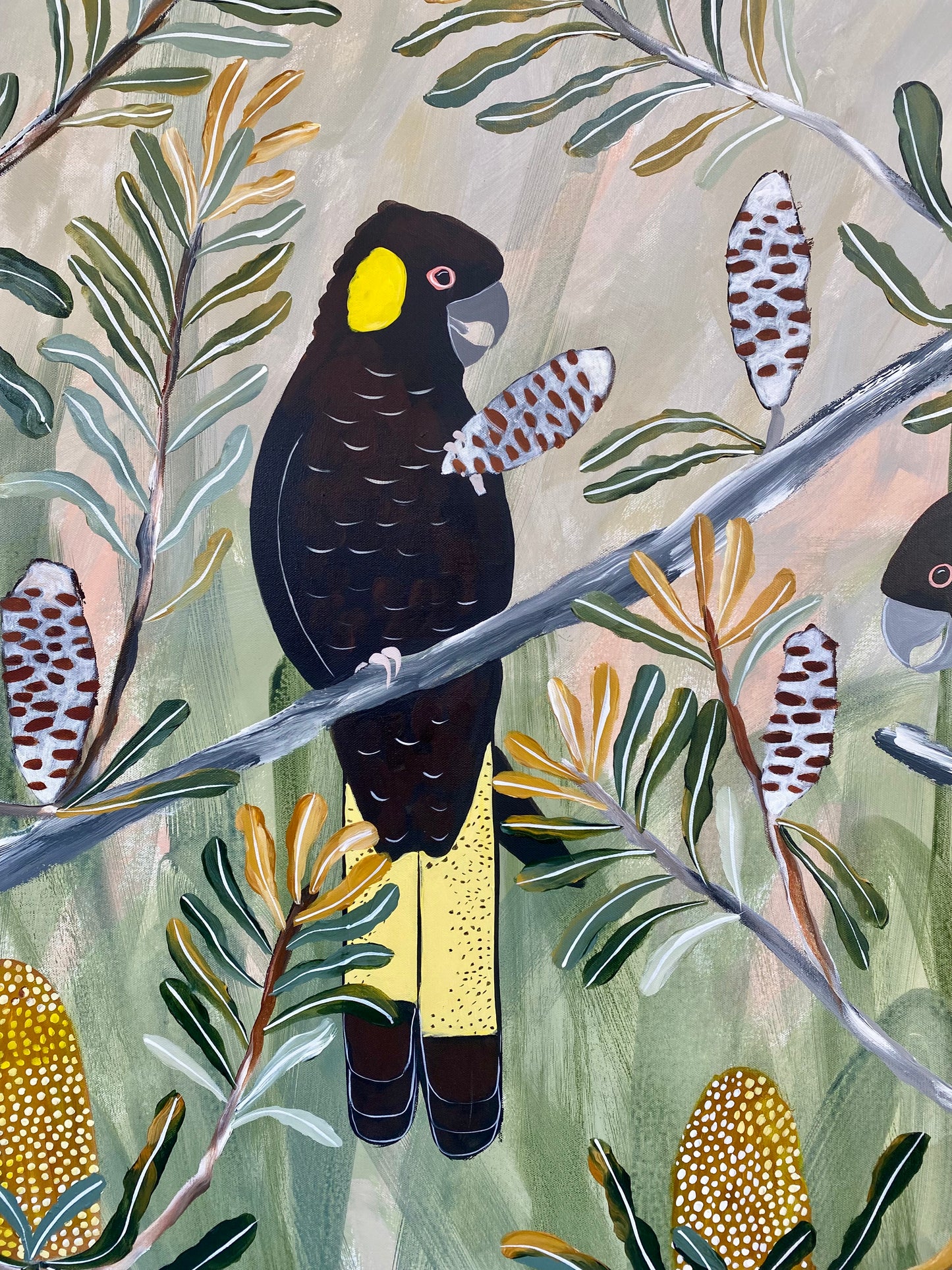 Spring Black Cockatoos #7