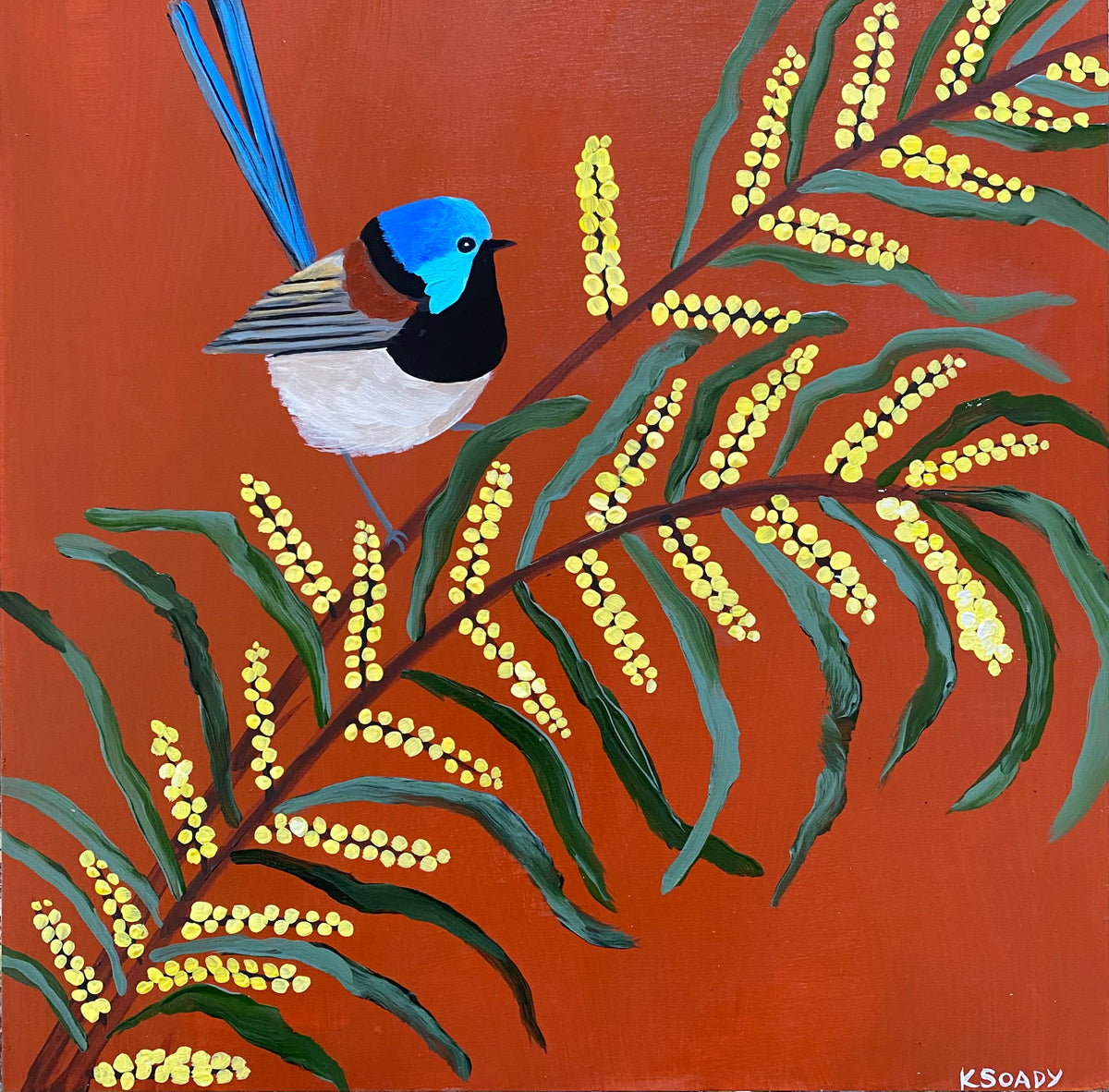 Fairy Wren & Wattle
