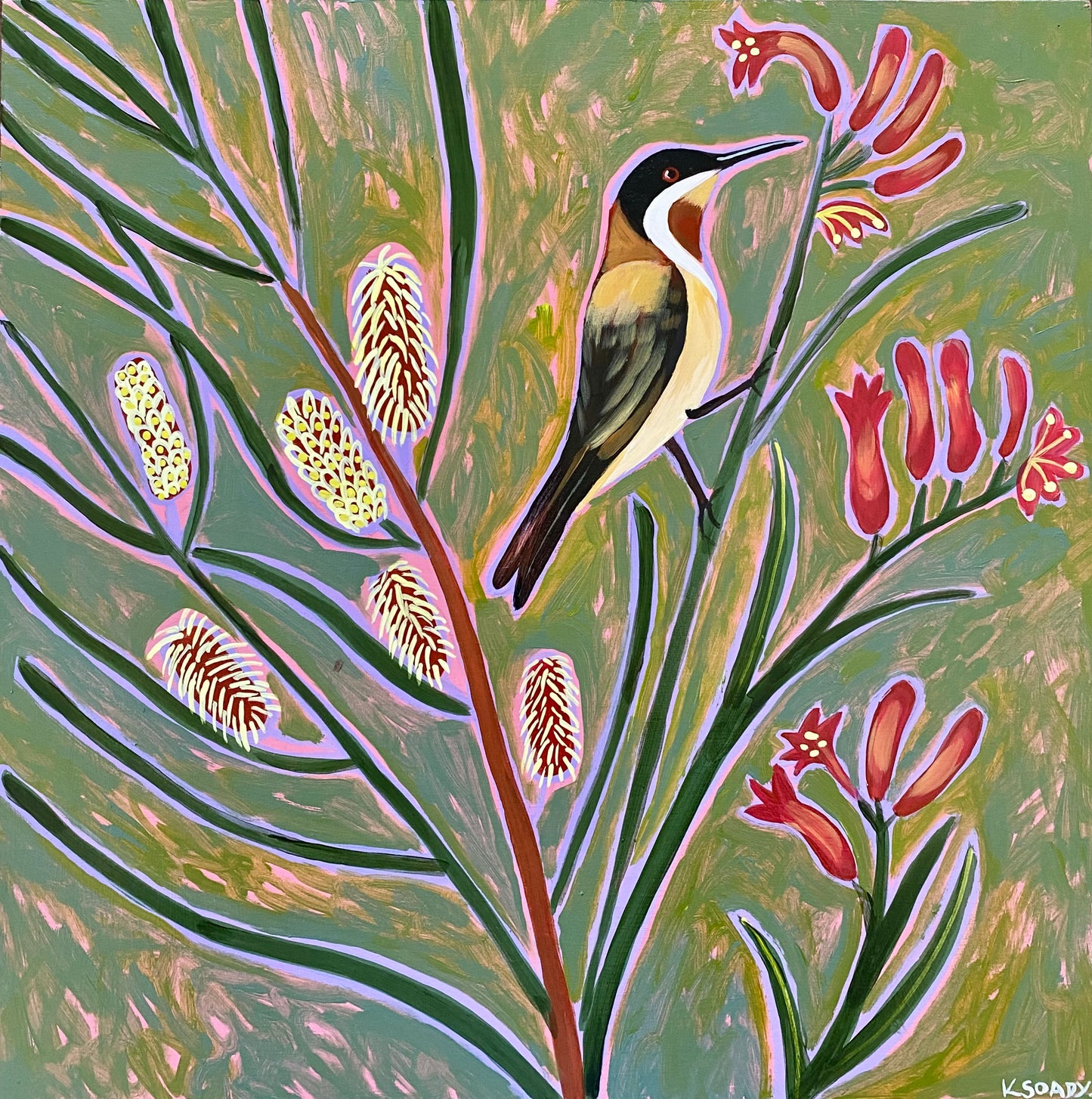 Hakea, Kangaroo Paw and Honeyeater