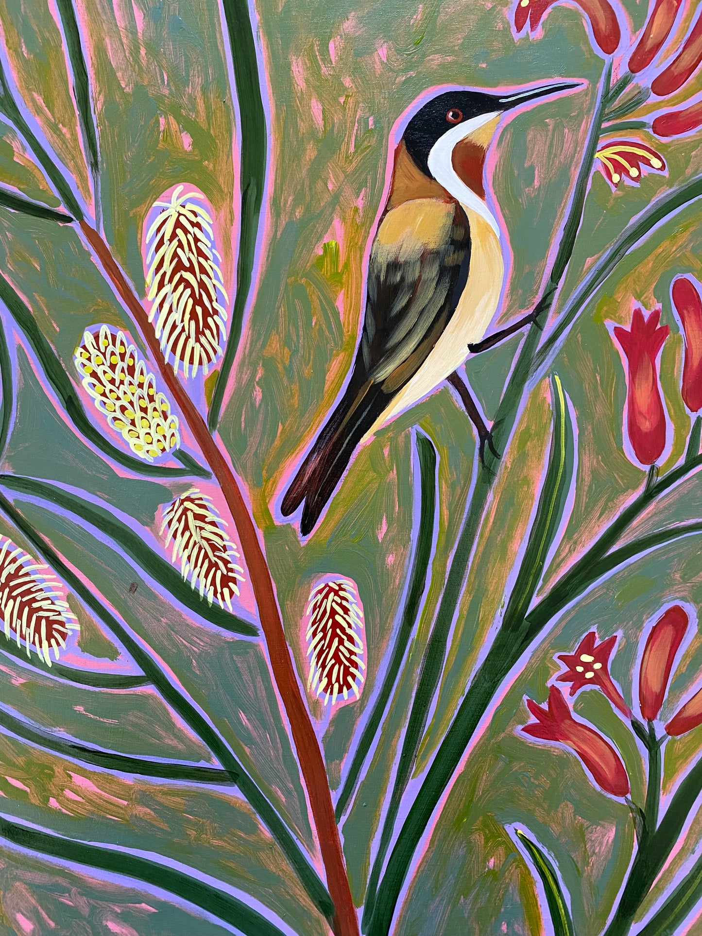 Hakea, Kangaroo Paw and Honeyeater