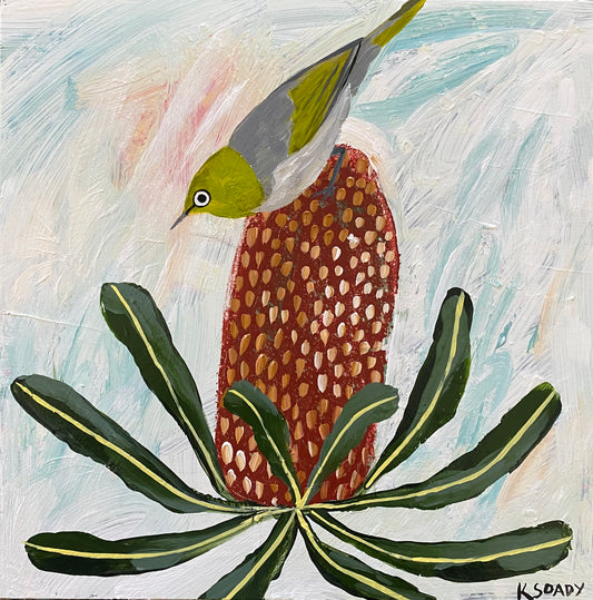 Silvereye & Banksia