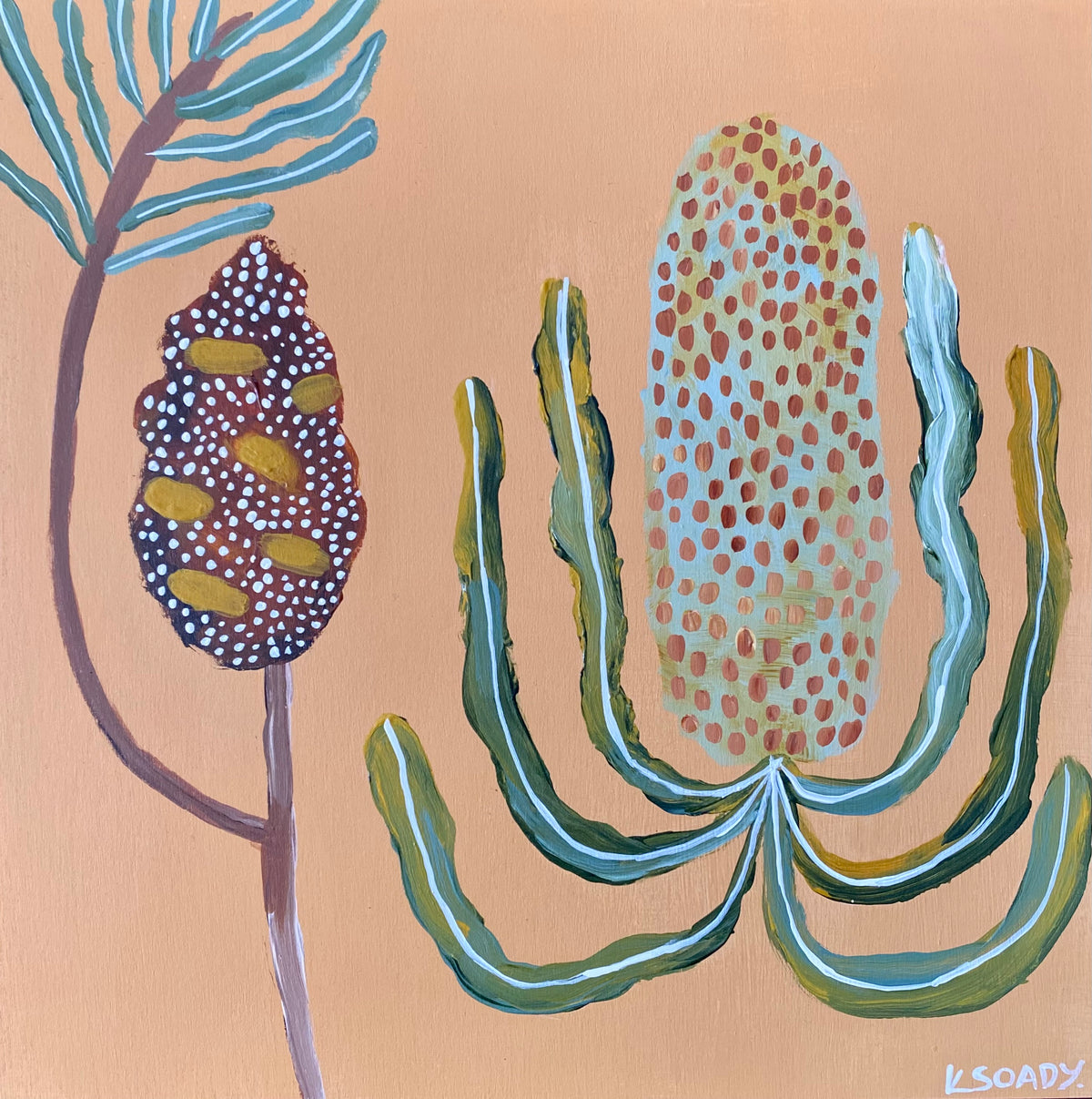 Banksia & Pod #27