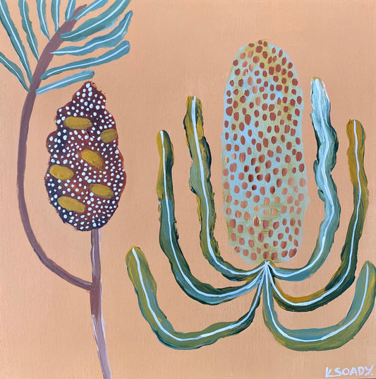 Banksia & Pod #27