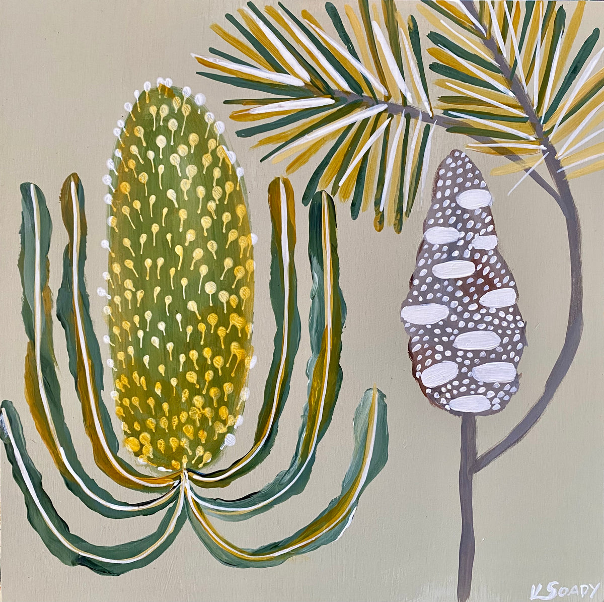 Banksia & Pod #24
