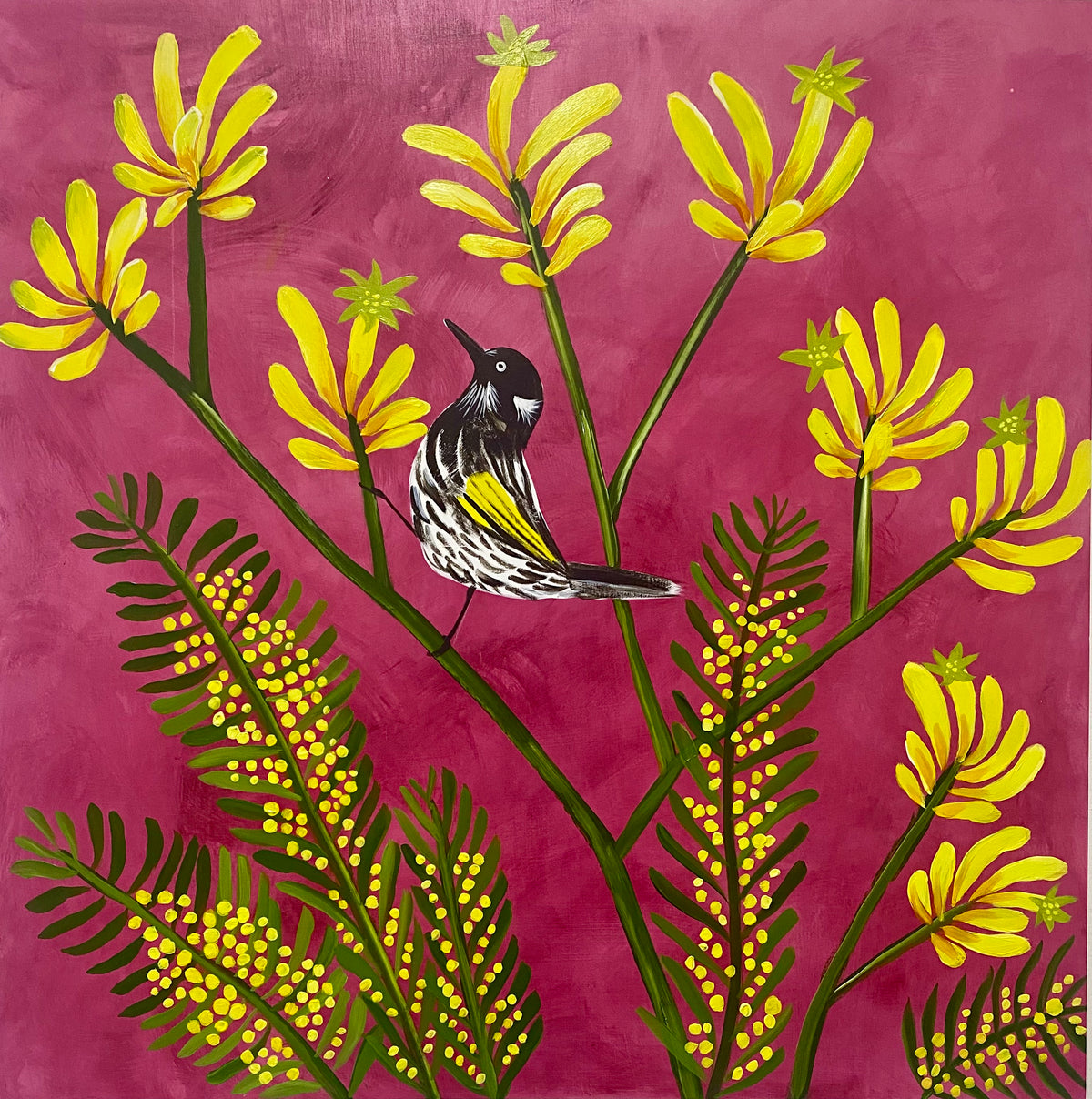 Kangaroo Paw & Honeyeater #1
