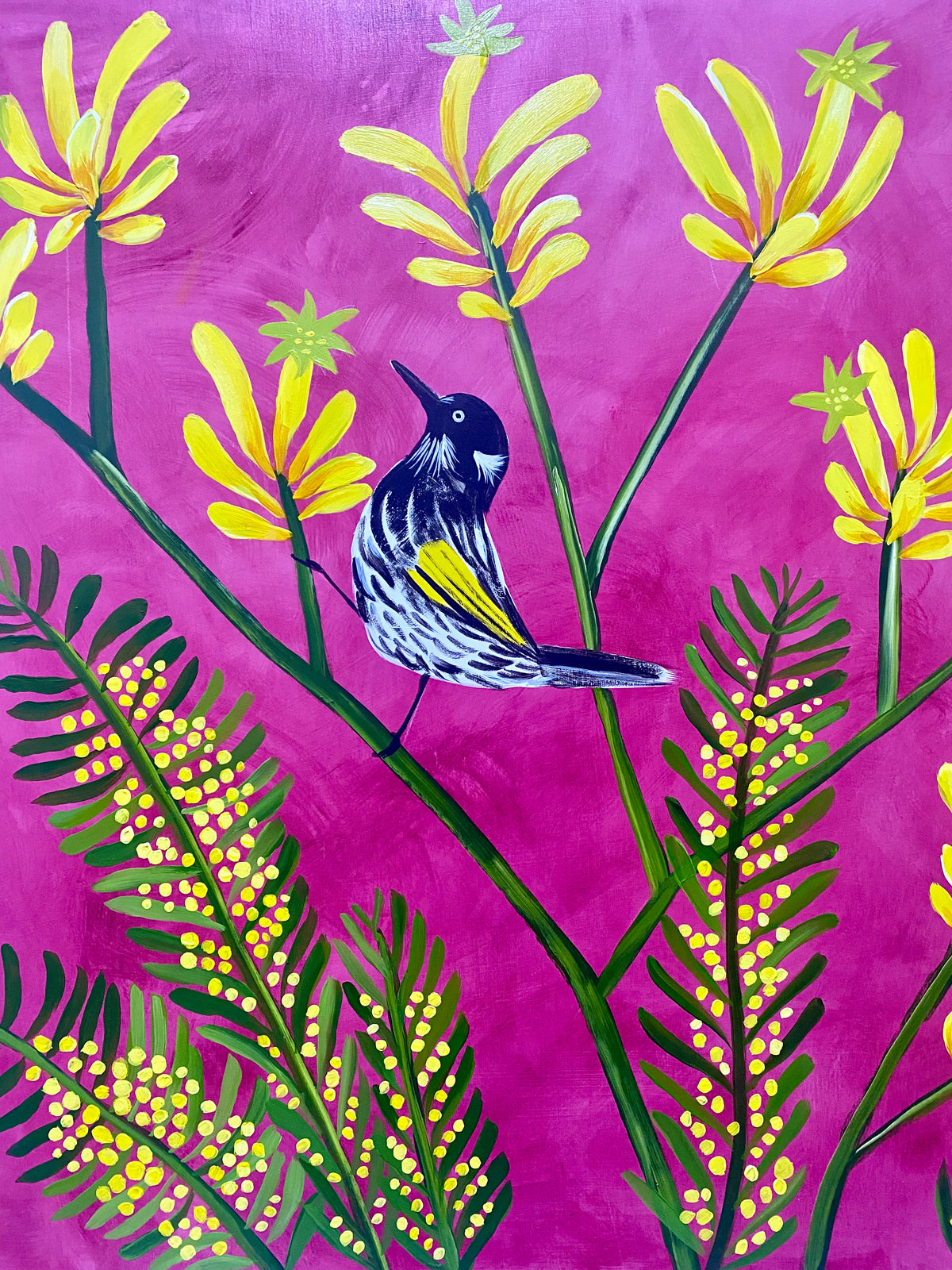 Kangaroo Paw & Honeyeater #1