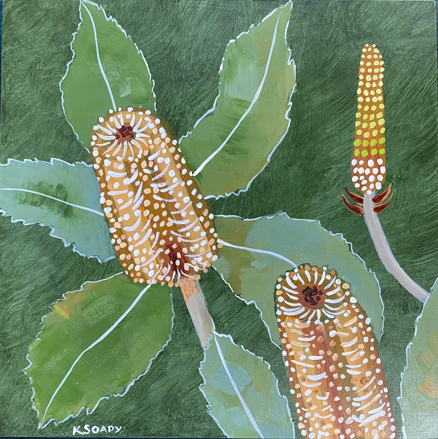 Verdant Banksia #4