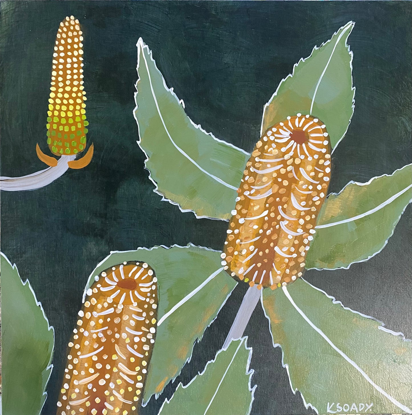 Verdant Banksia #6