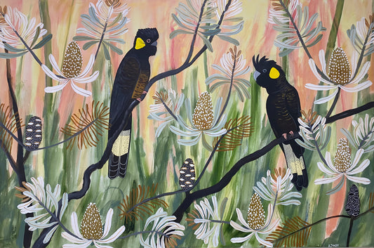 Black Cockatoos at Golden Hour #1