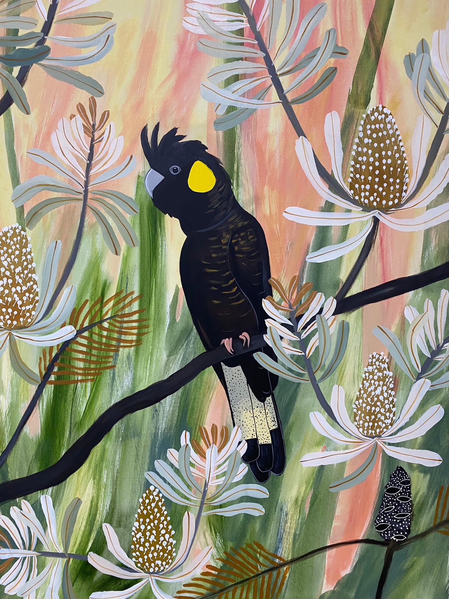 Black Cockatoos at Golden Hour #1